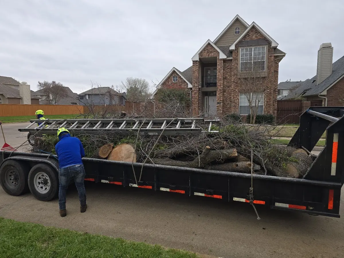 Expert Tree Pest Control with proper safety equipment in Carbon Hill